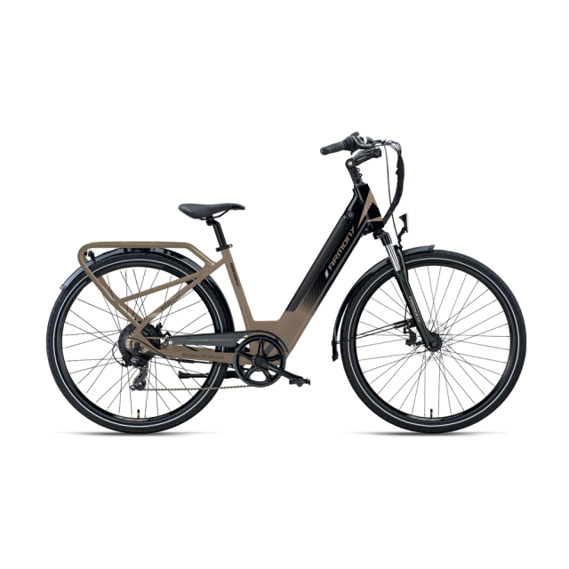 Bicicletă electrică de oraș Armony Matera Evo Gri Negru, Shimano 7v, autonomie 80 km, motor Bafang 45 Nm, 615Wh, greutate 21 kg