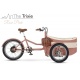 Tricicletă electrică cargo de familie Rayvolt Trixie Latte White, autonomie până la 80 km, motor 50 Nm, baterie până la 1008Wh