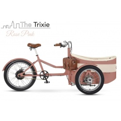 Tricicletă electrică cargo de familie Rayvolt Trixie Latte White, autonomie până la 80 km, motor 50 Nm, baterie până la 1008Wh