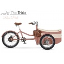 Tricicletă electrică cargo de familie Rayvolt Trixie Rose Pink, autonomie până la 80 km, motor 50 Nm, baterie până la 1008Wh